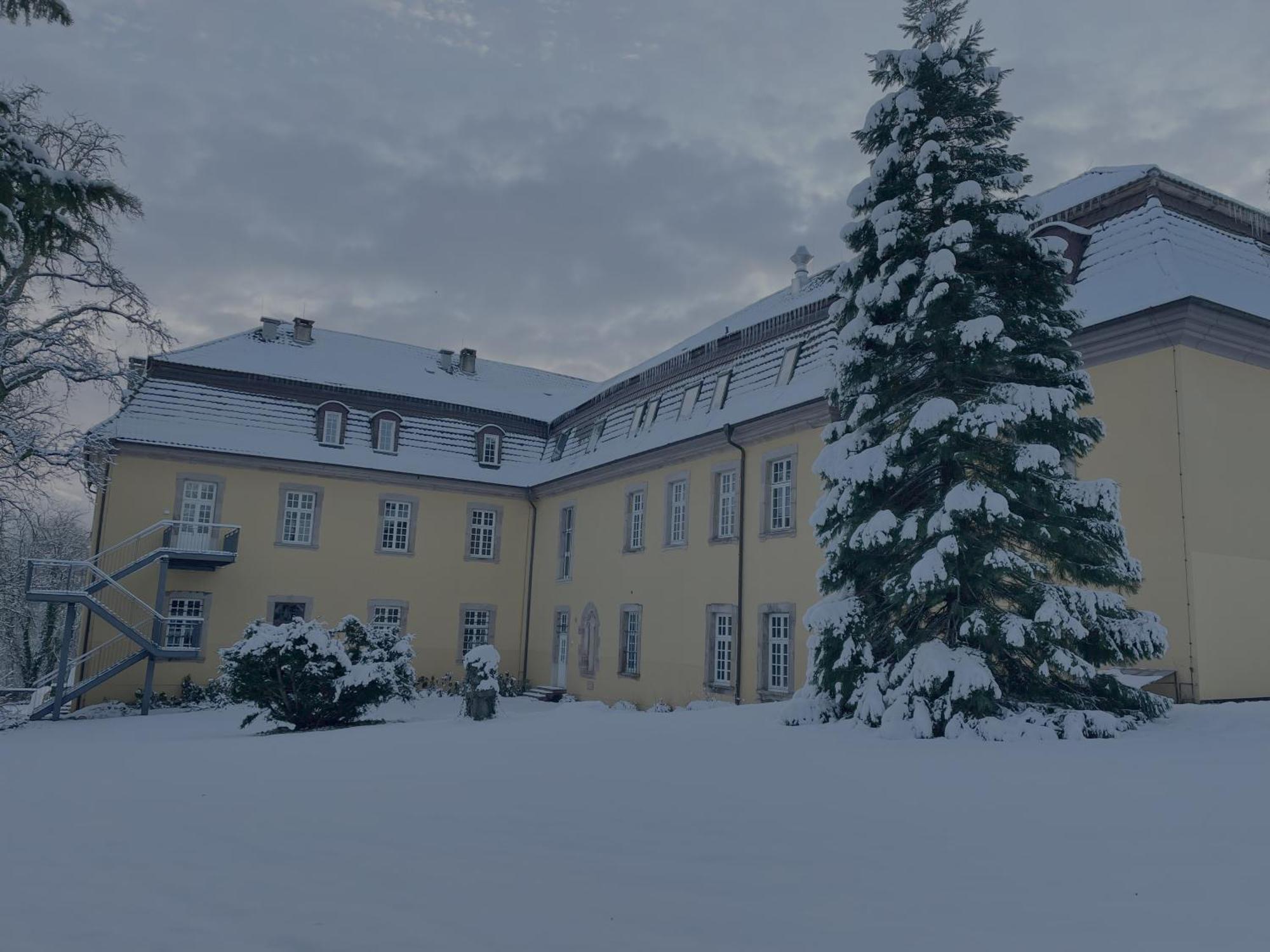 Hotel Schloss Hoehnscheid Bad Arolsen Dış mekan fotoğraf